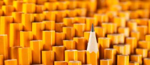 151914961_cropped-resized-optimized